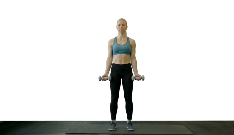 Bicep Curl with Light Dumbbell